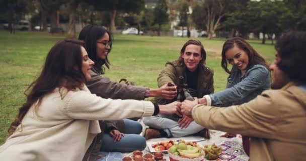 Arkadaşlar Piknik Kutlamaları Açık Hava Sosyal Etkinliğinde Gençlerle Bir Çimenlikte — Stok video