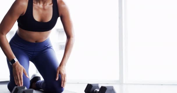 女人和俯卧撑与哑铃板 健康活跃的人和肌肉训练 日常锻炼和运动 强壮的女健美运动员呼吸和体格健壮的体格 — 图库视频影像