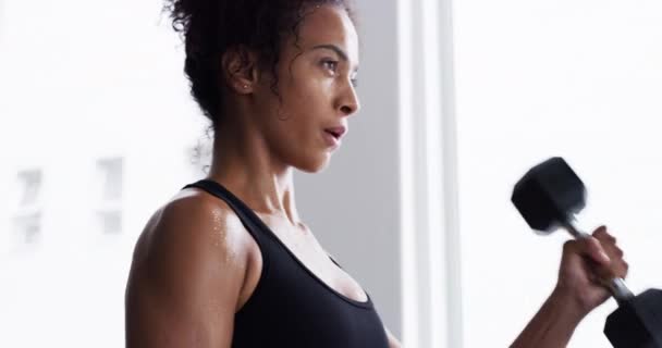 Súlyemelő Súlyemelő Testépítő Fitness Tornateremben Egészséges Aktív Személy Légzés Edzés — Stock videók