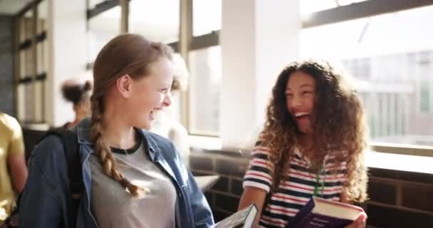 交谈和学生们在走廊里走在一起 结成同盟或讨论学业 多样化 少女时代的女友们在高中走廊里笑着说着话 — 图库视频影像
