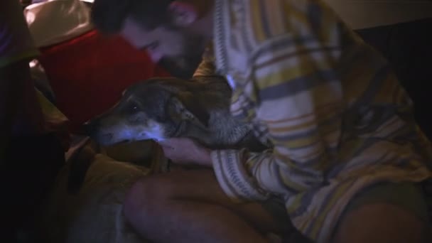 Muž Přátelé Pes Pohovce Noci Venkovní Verandě Pro Mazlení Mazlení — Stock video