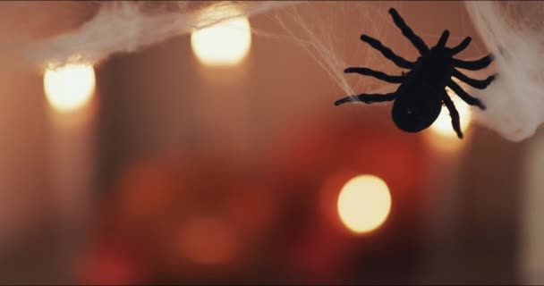 집에서 테이블에 거미와 할로윈 장식의 스포키 끔찍한 인테리어 무서운 유령의 — 비디오