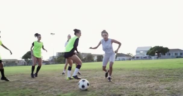 Equipo Fútbol Mujeres Anotan Gol Campo Ejercicio Entrenamiento Competición Grupo — Vídeos de Stock