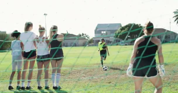 Vrouw Voetbal Schoppen Bal Voor Straf Doelpunt Scoren Groen Grasveld — Stockvideo
