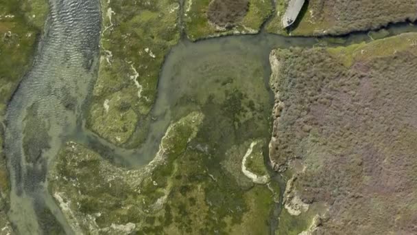Drone Paisagem Natureza Por Rio Campo Plantas Com Grama Ecologia — Vídeo de Stock