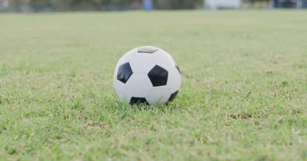 Fußball Ball Und Nahaufnahme Auf Gras Für Sport Outdoor Wettbewerb — Stockvideo