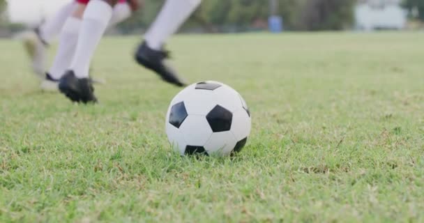 Top Isınma Futbol Takımı Spor Grup Antrenmanı Futbol Için Sahada — Stok video