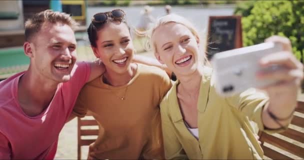 공원에서 여자와 친구와 여름에 웃음과 네트워크에 게시물에 프로필 메모리 입술을위한 — 비디오