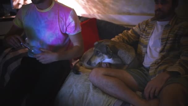 Erkek Arkadaş Evcil Hayvan Geceleri Verandada Koltukta Kucaklaşmak Şımartmak Evde — Stok video