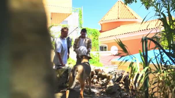 Açık Hava Çamaşırhane Çamaşır Köpekli Erkekler Iyi Arkadaşlar Arka Bahçe — Stok video