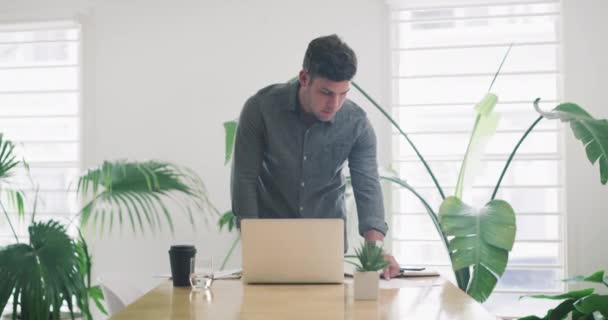 Homem Leitura Escritório Com Laptop Para Trabalho Empregado Trabalhando Proposta — Vídeo de Stock