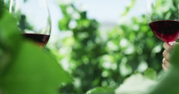 Winnica Degustacja Wina Ludzie Naturą Wiwatujący Napoje Alkoholowe Weekend Dłonie — Wideo stockowe