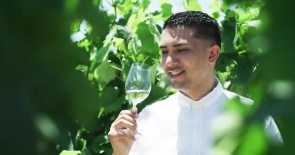 Winnica Degustacja Wina Młody Człowiek Przyrodzie Pijący Latem Napój Alkoholowy — Wideo stockowe