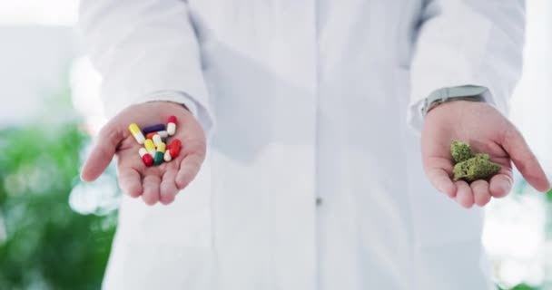Döntés Kezek Tabletták Marihuána Orvosi Tanulmány Alternatív Gyógyászat Egészségügyi Ellátás — Stock videók