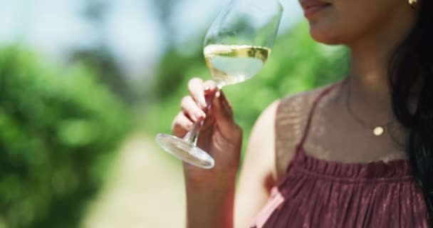 Winnica Degustacja Wina Młoda Kobieta Przyrodzie Pijąca Latem Napój Alkoholowy — Wideo stockowe