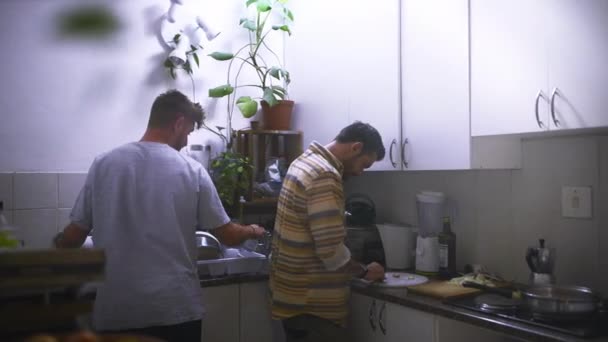 Φίλοι Πλύσιμο Πιάτων Και Κουζίνας Ενώ Μαγείρεμα Την Ευτυχία Και — Αρχείο Βίντεο