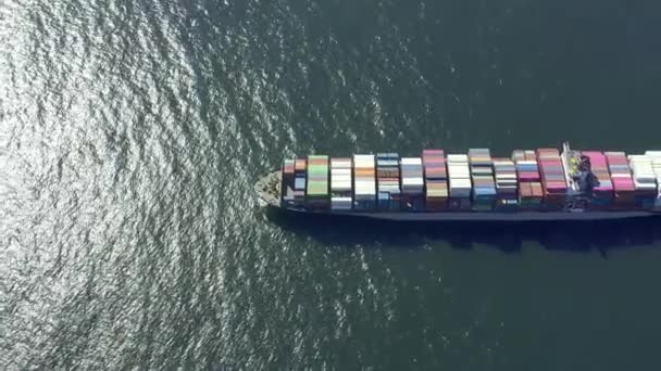Dronă Aeriană Ocean Marfă Sau Container Pentru Transport Maritim Transport — Videoclip de stoc