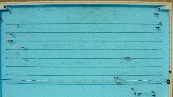 Повітряні Фітнес Люди Які Плавають Басейні Розслабляються Відпочивають Відкритому Повітрі — стокове відео