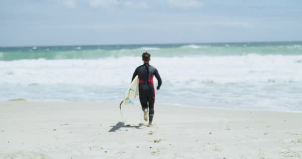 Rygg Löpning Och Strand Med Man Surfare Och Vågor Med — Stockvideo