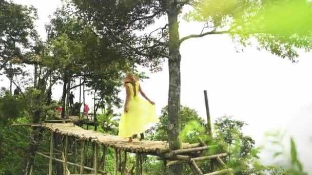 Voyage Forêt Montagne Femme Sur Pont Pour Des Vacances Luxe — Video