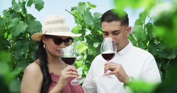 Αμπελώνας Γευσιγνωσία Κρασιού Και Ζευγάρι Στη Φύση Πίνοντας Ένα Αλκοολούχο — Αρχείο Βίντεο