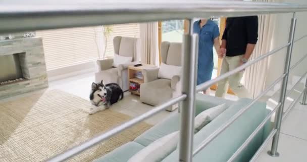 Yeni Evimizde Mutlu Bir Adam Kadın Köpek Var Mülk Yatırımına — Stok video