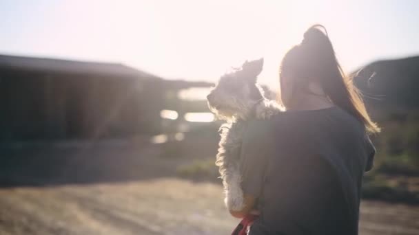 回来了 宠物和一个女人和她的狗一起在乡下的农场里散步 是为了自由还是冒险 早晨和动物的主人带着她的宠物狗回他们在村子里的家 — 图库视频影像