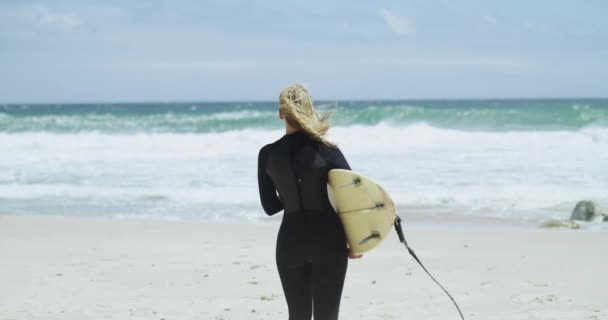 Surfer Brzeg Plaży Deska Surfingowa Surfingu Turystyki Przygody Wakacje Hobby — Wideo stockowe