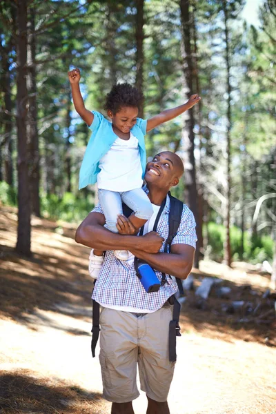 木の探索 休暇のための週末のハイキングパークの道のための父 子供と森の性質 娘と一緒に休暇 森の旅行や日差しのために夏を祝う — ストック写真