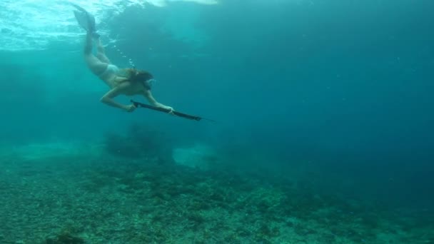 Šnorchlování Kopí Zbraň Žena Oceánu Pro Rybolov Lov Lov Ryb — Stock video