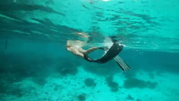 在毛里求斯潜水 在热带水域潜水 珊瑚礁和在岛上潜水的自然 旅行和女性 — 图库视频影像