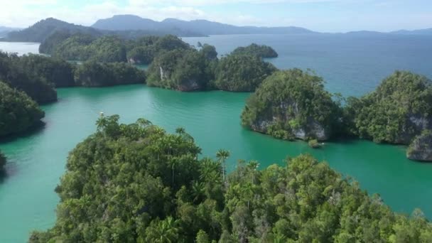 Île Eau Vert Paysage Jungle Avec Drone Voyage Océan Avec — Video