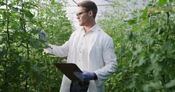 과학자나 사람이나 연구를 자연의 가능성 클립보드 정원사 나뭇잎 혁신을 공부하는 — 비디오