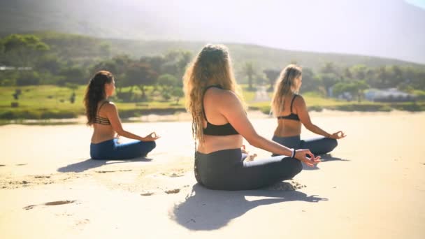 Příroda Ženy Přátelé Meditací Jógou Wellness Rovnováhou Fitness Cvičením Skupina — Stock video