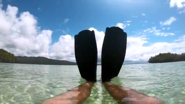 Nohy Ploutve Osoby Plavající Moři Cestování Tropické Dovolené Letní Dovolenou — Stock video