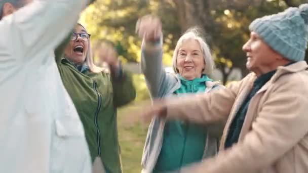 Mani Impilate Natura Anziani Celebrare Atteggiamento Positivo Buono Fiducioso Sorriso — Video Stock