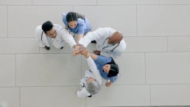 Alto Cinco Aplausos Médicos Animados Pessoas Grupo Celebram Sucesso Construção — Vídeo de Stock
