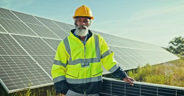 Engineering Man Serious Solar Panels Outdoor Renewable Energy Maintenance Electrical — Stock Video