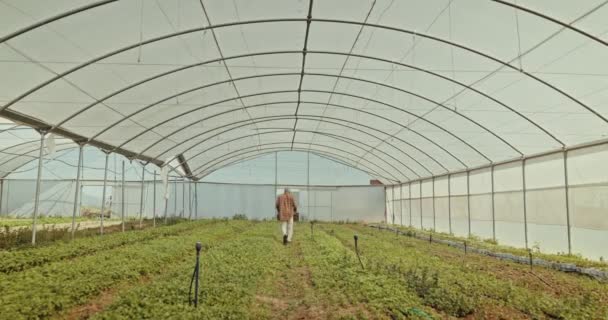 Człowiek Spacery Szklarnia Dla Rolnictwa Rolnictwa Lub Naturalnego Wzrostu Zbiorów — Wideo stockowe