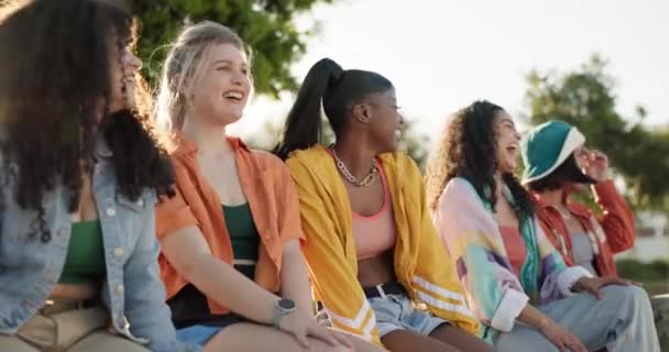 결합이나 행복을 여름에 이야기 대화를위한 공원에 다양성과 품질의 시간에 — 비디오