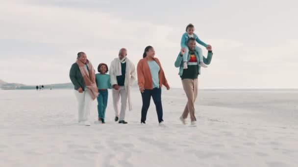祖父母 父母和孩子们在海滩上散步 与家人团聚 在大自然中放松身心 爸爸和孩子们在假期 假期和冒险中牵着手 — 图库视频影像