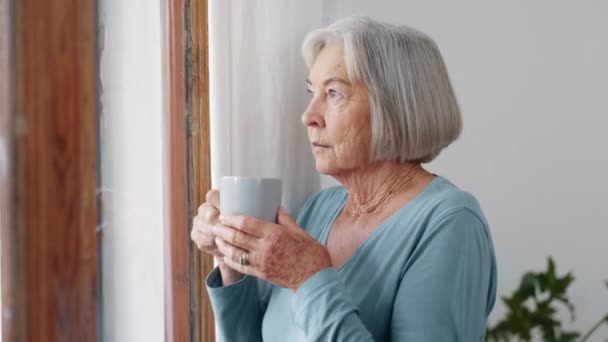 Senior Vrouw Raam Denken Met Koffie Ideeën Visie Met Rust — Stockvideo
