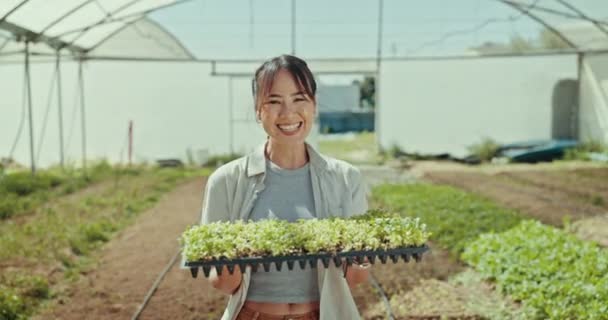 작물에서 아시아 농지에서 가능성에서 신선한 농산물을 재배하기위한 미소의 초상화 — 비디오