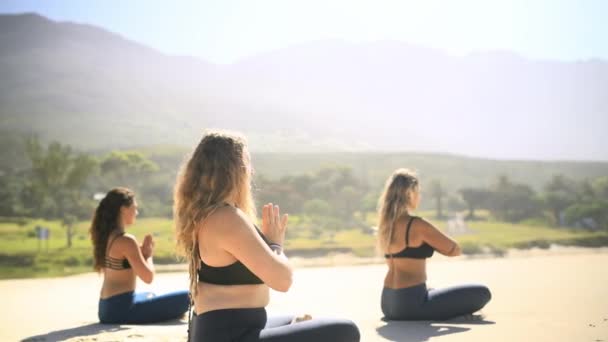 Sol Mujeres Grupo Con Meditación Yoga Bienestar Con Equilibrio Fitness — Vídeos de Stock