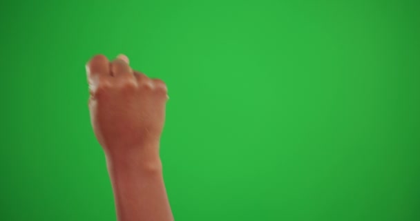 Hand Green Screen Sign Language Person Studio Communication Disability Awareness — Stock Video