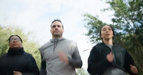 Fitness Bosque Grupo Amigos Corriendo Juntos Para Hacer Ejercicio Aire — Vídeos de Stock