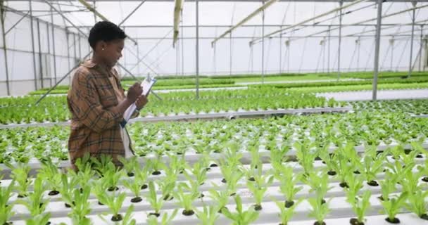 Üvegház Gyerekszoba Kertben Írótábla Minőségbiztosítás Mezőgazdaság Kertészkedés Növekedés Kertészek Ellenőrző — Stock videók