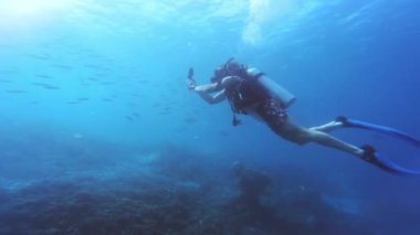 Fotoğraf, okyanusta yüzme ve Raja Ampat 'taki mercan resiflerinde biyolojik çeşitlilik, ekoloji veya tropikal çevre ile tüplü dalış. Sakin mavi deniz, su altı ve kameralı insan doğada macera yaşıyor..
