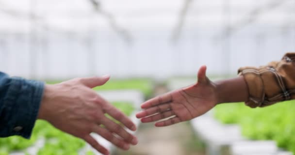水力発電所 人々は温室 持続可能なビジネスで握手しています 野菜チームワークの養殖に関するガーデンサイエンス パートナーシップ契約 — ストック動画