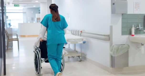 在医院的轮椅上行走的妇女 医生和病人在支持 走廊或走廊中 在诊所帮助残疾人的女医疗护士或医疗保健护理人员的后视镜 — 图库视频影像